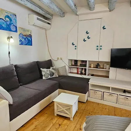 Apartment Studio Victory In Center *