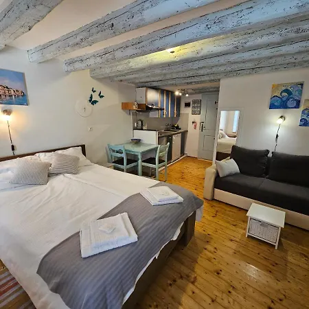 Studio Victory In Center Apartment *