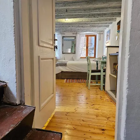 Studio Victory In Center Apartment *